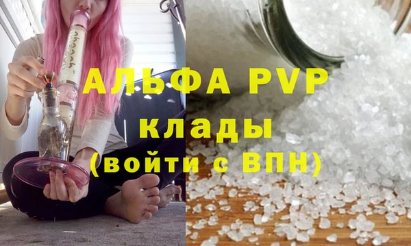 эйфоретик Абинск
