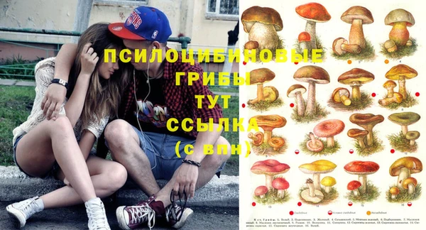 МДПВ Алзамай